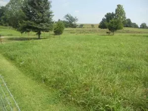 2521 Mcelroy Rd, Harrison, AR 72601 photo 19