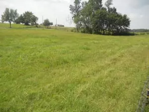 2521 Mcelroy Rd, Harrison, AR 72601 photo 20