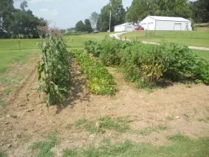 2521 Mcelroy Rd, Harrison, AR 72601 photo 6