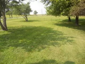 2521 Mcelroy Rd, Harrison, AR 72601 photo 3