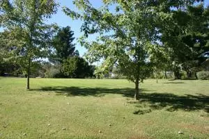 102 Martin Dr, Harrison, AR 72601 photo 15