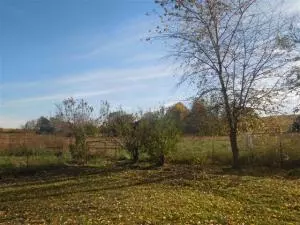 6391 E Maxie Camp Rd, Harrison, AR 72601 photo 11