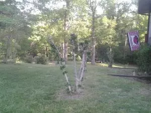 8096 Terrapin Rd, Harrison, AR 72601 photo 27