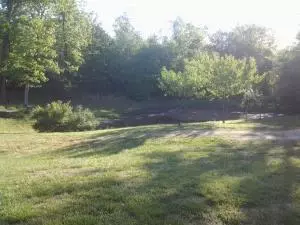 8096 Terrapin Rd, Harrison, AR 72601 photo 25