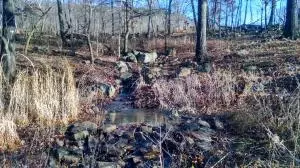 8096 Terrapin Rd, Harrison, AR 72601 photo 31