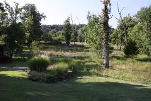 8096 Terrapin Rd, Harrison, AR 72601 photo 24