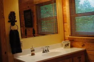 75 Church St, Gilbert, AR 72636 photo 9