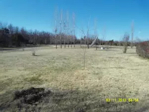 8680 Dunkard Rd, Harrison, AR 72601 photo 12