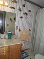 8680 Dunkard Rd, Harrison, AR 72601 photo 7