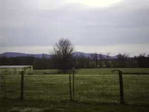 149 Carr Ct, Harrison, AR 72601 photo 17