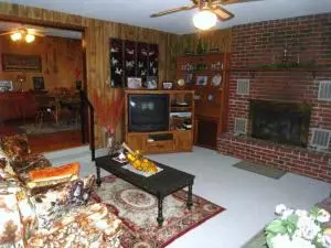 149 Carr Ct, Harrison, AR 72601 photo 7