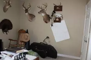 9201 Sims Rd, Harrison, AR 72601 photo 10