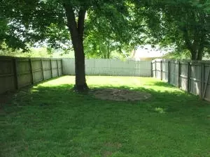 3521 Old Bergman Rd, Harrison, AR 72601 photo 18
