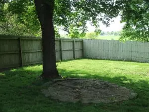 3521 Old Bergman Rd, Harrison, AR 72601 photo 17