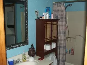 3521 Old Bergman Rd, Harrison, AR 72601 photo 14