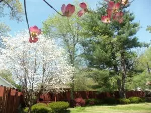 1200 Circle Dr, Harrison, AR 72601 photo 32