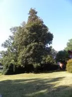 1200 Circle Dr, Harrison, AR 72601 photo 28