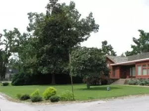 1200 Circle Dr, Harrison, AR 72601 photo 29