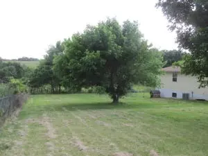439 Bunker Rd, Harrison, AR 72601 photo 14