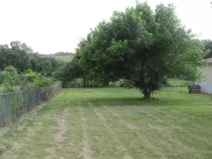 439 Bunker Rd, Harrison, AR 72601 photo 15
