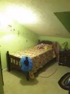 161 Old School St, Yellville, AR 72687 photo 25