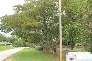 161 Old School St, Yellville, AR 72687 photo 41