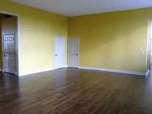 161 Old School St, Yellville, AR 72687 photo 4