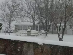161 Old School St, Yellville, AR 72687 photo 50
