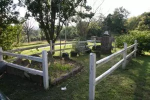 161 Old School St, Yellville, AR 72687 photo 40