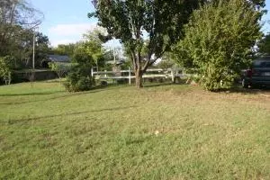 161 Old School St, Yellville, AR 72687 photo 43
