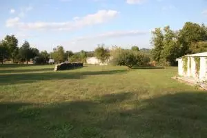 161 Old School St, Yellville, AR 72687 photo 46