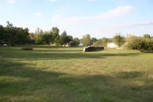 161 Old School St, Yellville, AR 72687 photo 47