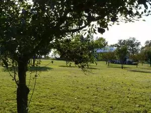 161 Old School St, Yellville, AR 72687 photo 49