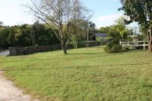 161 Old School St, Yellville, AR 72687 photo 44