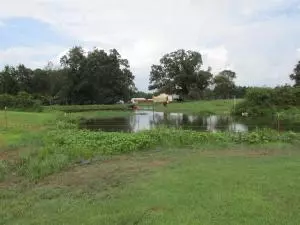 541 Zinc Rd, Harrison, AR 72601 photo 30