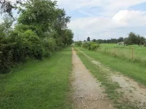 541 Zinc Rd, Harrison, AR 72601 photo 2