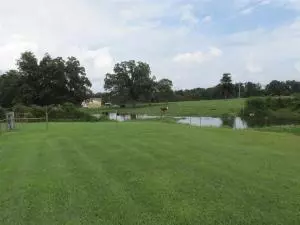 541 Zinc Rd, Harrison, AR 72601 photo 26