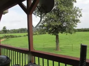 541 Zinc Rd, Harrison, AR 72601 photo 37