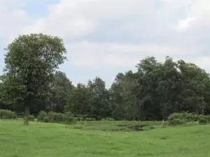 541 Zinc Rd, Harrison, AR 72601 photo 29