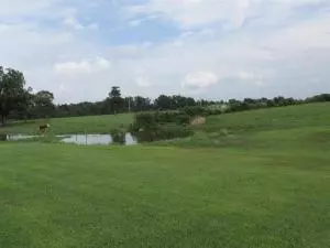541 Zinc Rd, Harrison, AR 72601 photo 27