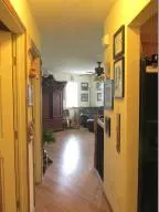 541 Zinc Rd, Harrison, AR 72601 photo 62