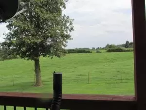 541 Zinc Rd, Harrison, AR 72601 photo 38