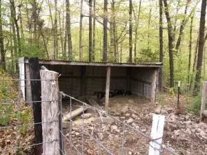 1306 Joe Arnold Rd, Harrison, AR 72601 photo 35