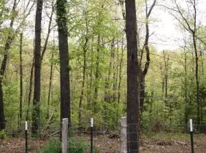 1306 Joe Arnold Rd, Harrison, AR 72601 photo 43