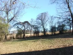 809 S Ash, Harrison, AR 72601 photo 7