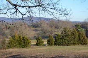 1820 W May, Harrison, AR 72601 photo 30