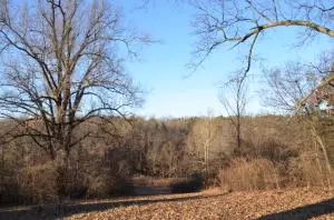 1820 W May, Harrison, AR 72601 photo 33