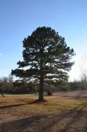 1820 W May, Harrison, AR 72601 photo 34