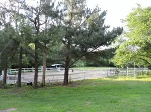 1208 N Harmon Rd, Harrison, AR 72601 photo 4