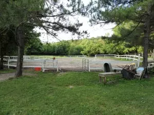 1208 N Harmon Rd, Harrison, AR 72601 photo 10